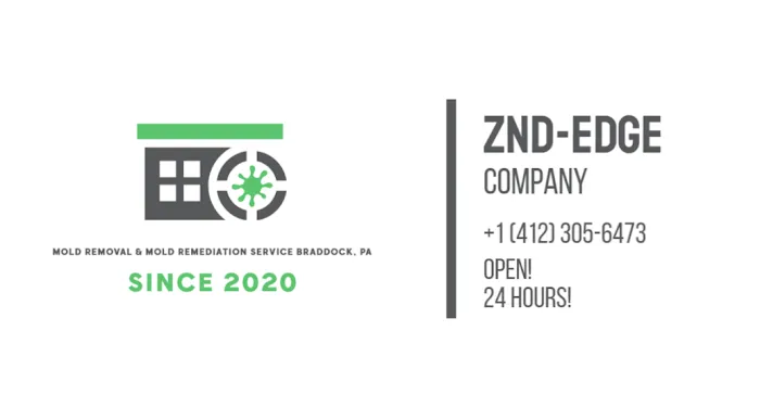 ZND-EDGE Mold Removal & Mold Remediation Service Braddock, PA Picture 1