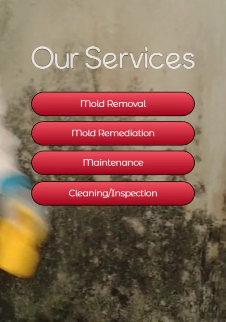 ZND-EDGE Mold Removal & Mold Remediation Service Braddock, PA Picture 2