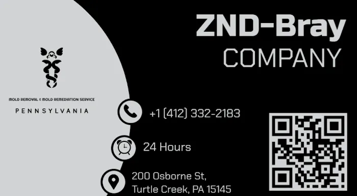 ZND-Bray Mold Removal & Mold Remediation Service Turtle Creek, PA Picture 1