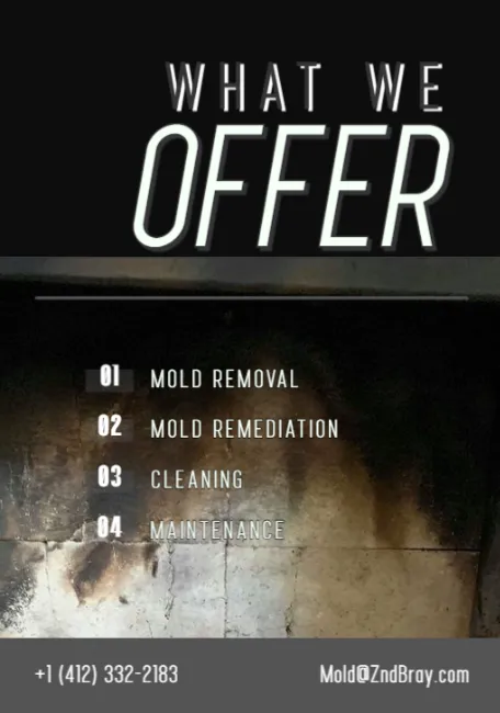 ZND-Bray Mold Removal & Mold Remediation Service Turtle Creek, PA Picture 2