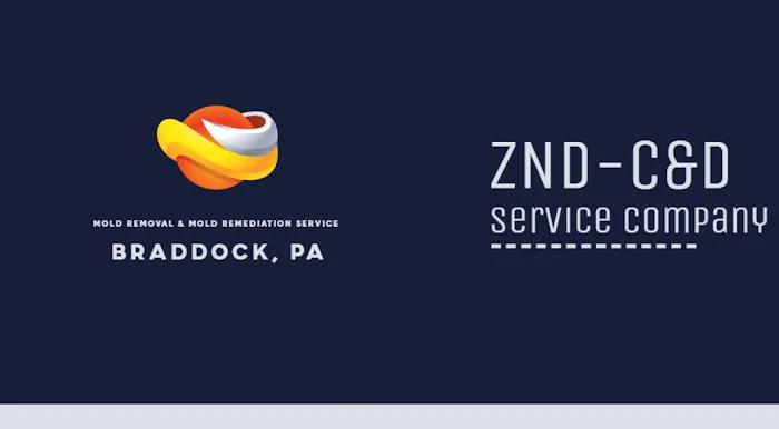 ZND-C&D Mold Removal & Mold Remediation Service Braddock, PA Picture 1