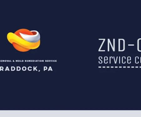 ZND-C&D Mold Removal & Mold Remediation Service Braddock, PA
