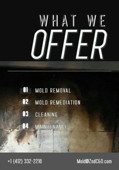 ZND-C&D Mold Removal & Mold Remediation Service Braddock, PA Picture 2