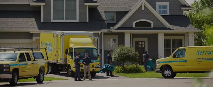 ServiceMaster by BTM Picture 8