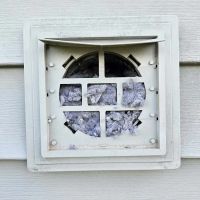 Paramount Restoration ico