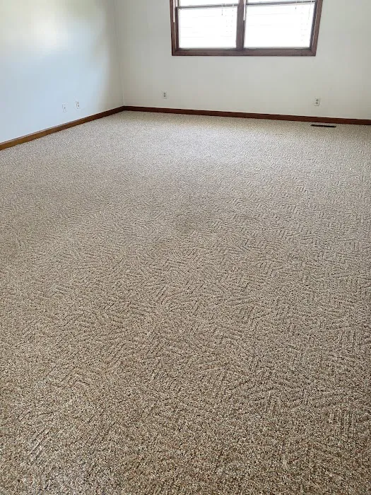 Stanley Steemer Picture 9