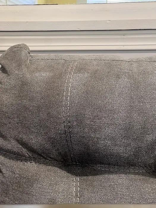 Stanley Steemer Picture 6