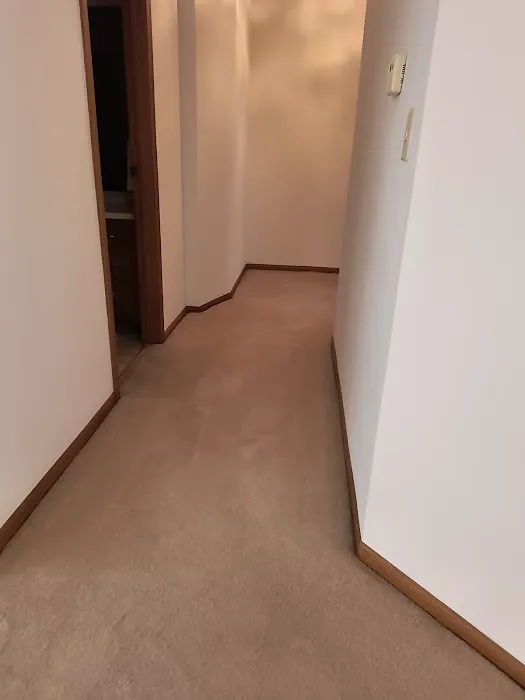 Stanley Steemer Picture 1