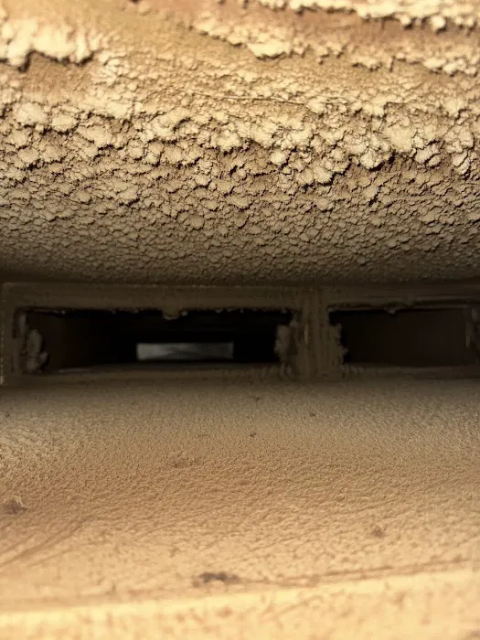 Stanley Steemer Picture 8