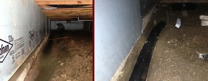 Crawlspace Remediation LLC Picture 6