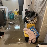 Roto-Rooter Plumbing & Water Cleanup ico