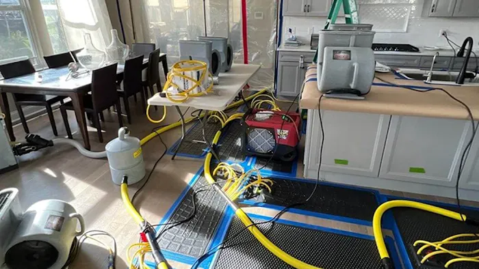 Thompson Restoration Picture 5