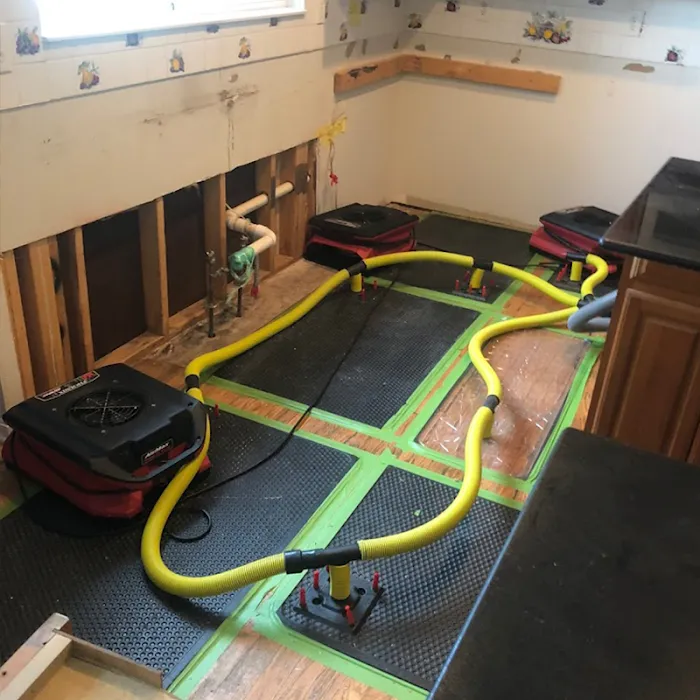 Thompson Restoration Picture 2