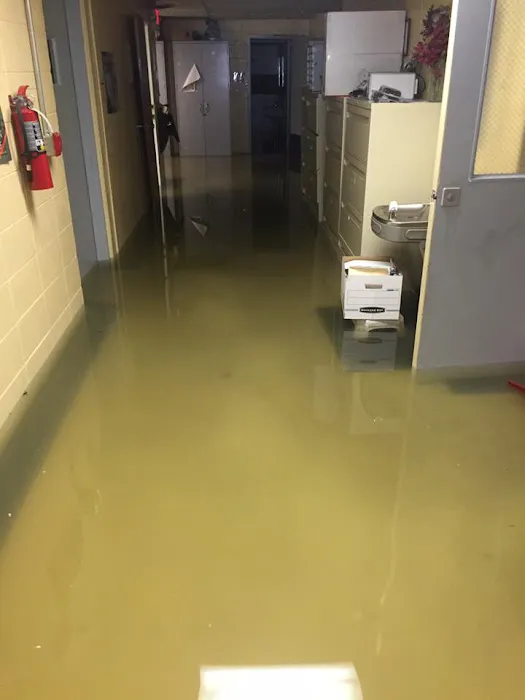 Thompson Restoration Picture 4