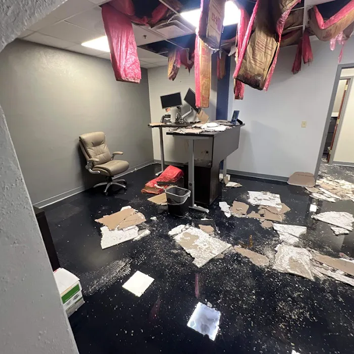 Thompson Restoration Picture 1