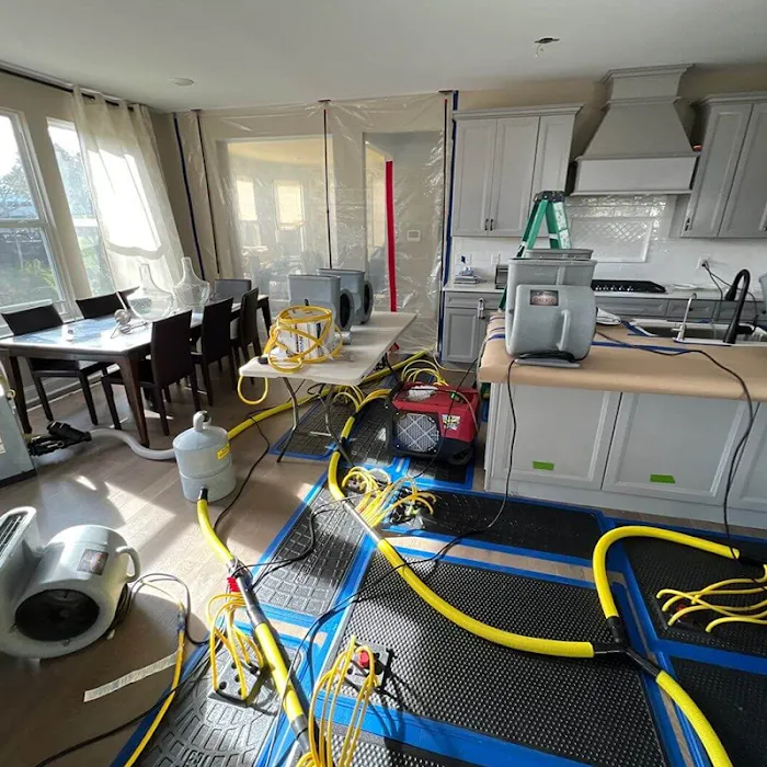 Thompson Restoration Picture 9