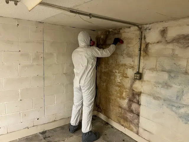 Dry Ally of Northern Kentucky Picture 3