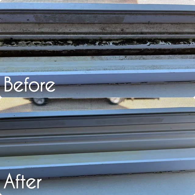 Dry Ally of Northern Kentucky Picture 10