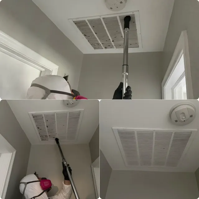 Dry Ally of Northern Kentucky Picture 7