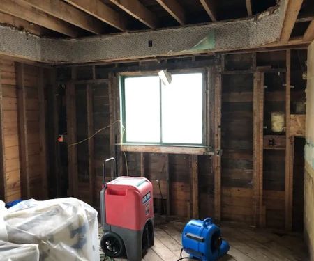 BluSky Restoration Contractors