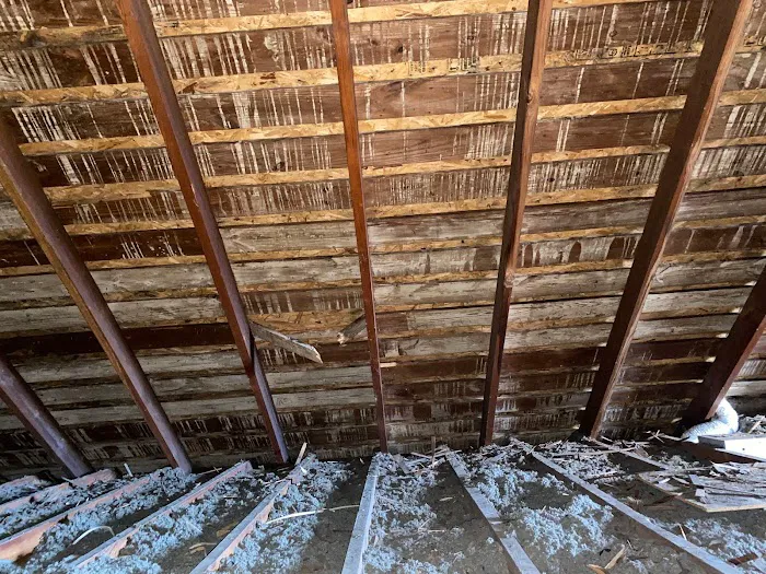 Ahold of Mold Picture 8