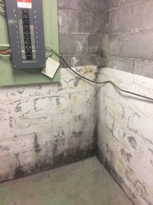 Ahold of Mold Picture 1