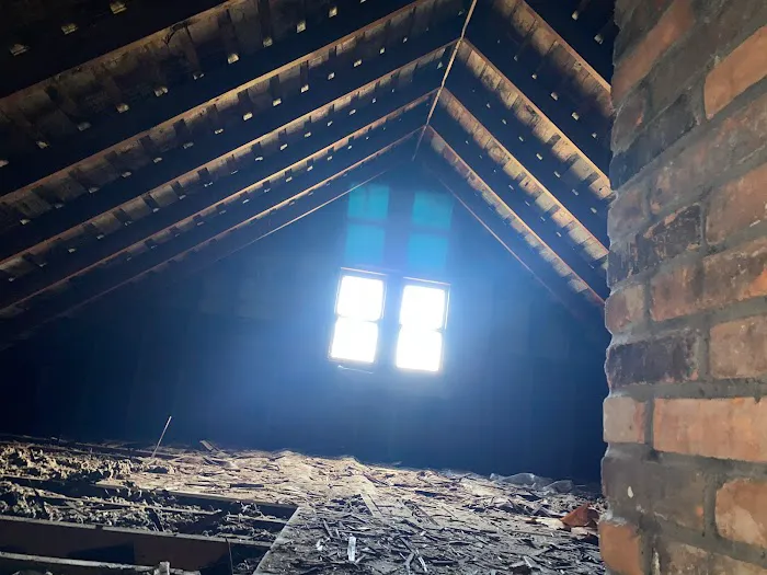 Ahold of Mold Picture 2