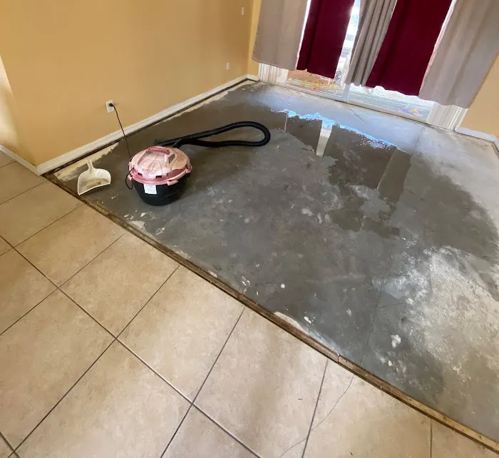 Ahold of Mold Picture 10