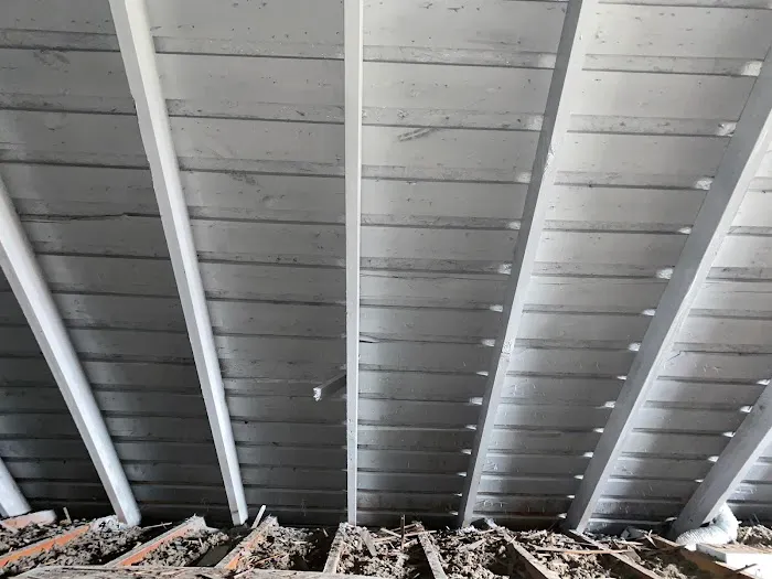 Ahold of Mold Picture 6