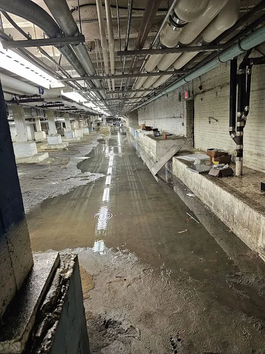 SERVPRO of Erie and Warren Counties, PA Picture 2