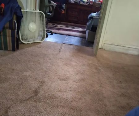 COIT Cleaning and Restoration