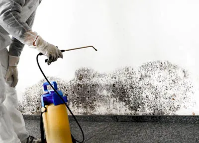 House Repair Experts, LLC Picture 5