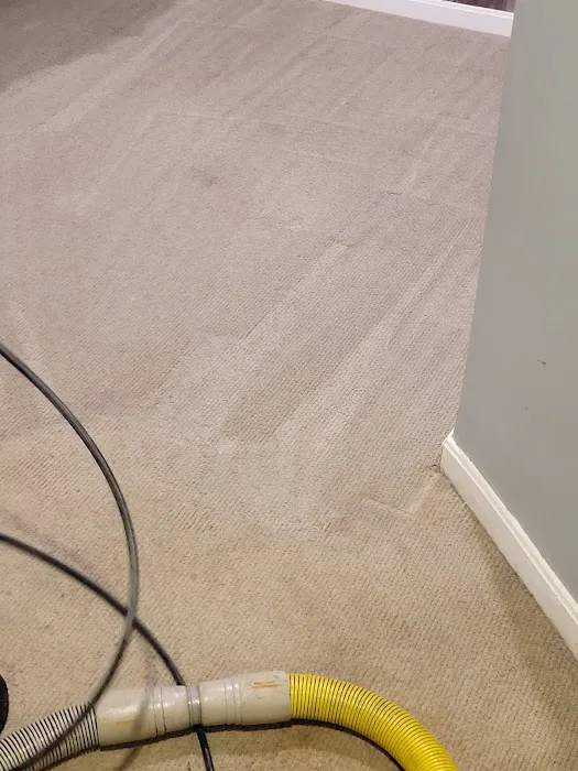 Stanley Steemer Picture 8