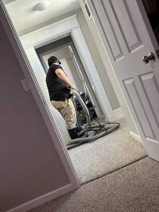 Stanley Steemer Picture 3