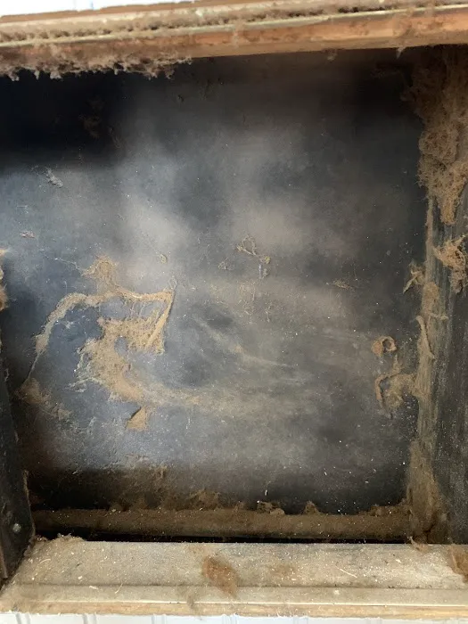 Stanley Steemer Picture 6