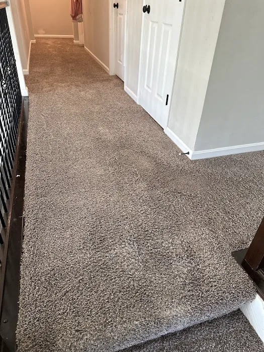 Stanley Steemer Picture 10