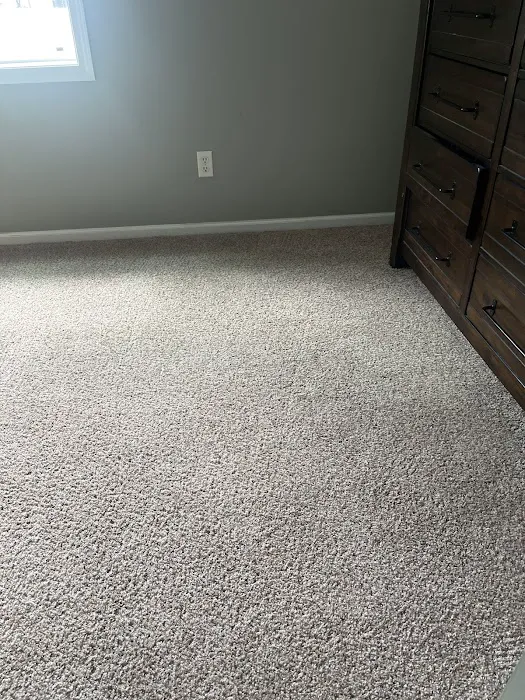 Chem-Dry of Lafayette Picture 10