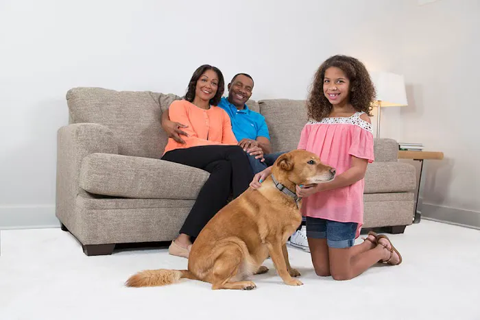 Chem-Dry of Lafayette Picture 5