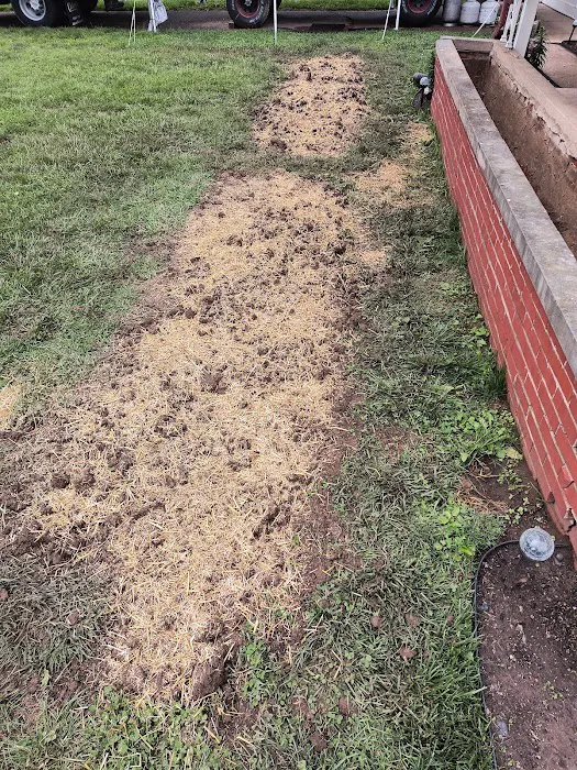 Indiana Foundation Service Picture 4