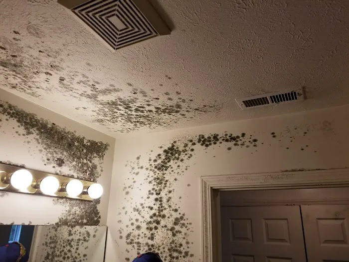 Fire and Flood Recovery Inc. Picture 4