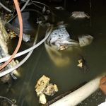 Fire and Flood Recovery Inc.