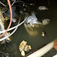 Fire and Flood Recovery Inc. ico