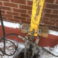 A Better Choice, Inc. ico