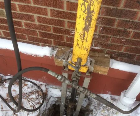 A Better Choice, Inc.