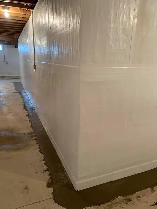 A Better Choice, Inc. Picture 7