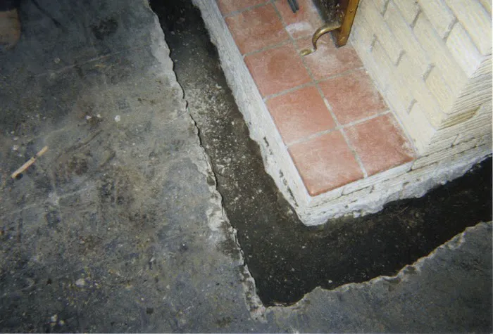 A Better Choice, Inc. Picture 6