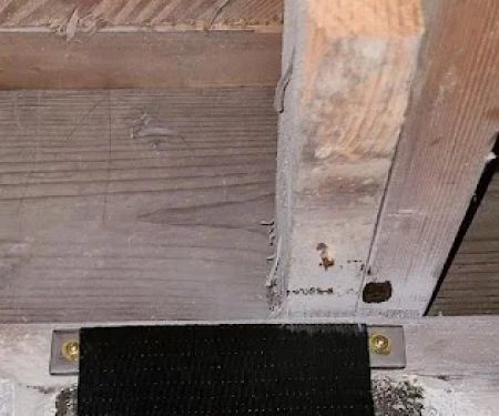 Advanced Basement Solutions