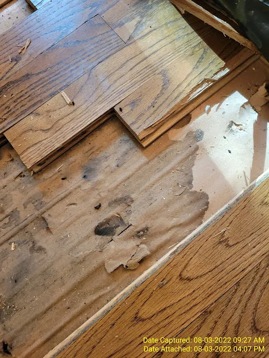 Absolute LLC Picture 9