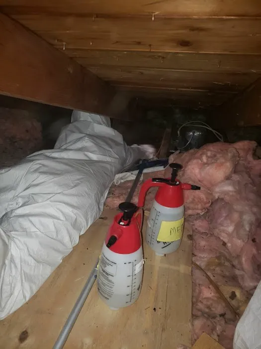 Absolute LLC Picture 5