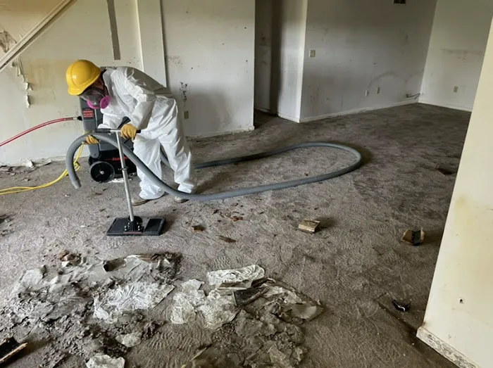 Absolute LLC Picture 3